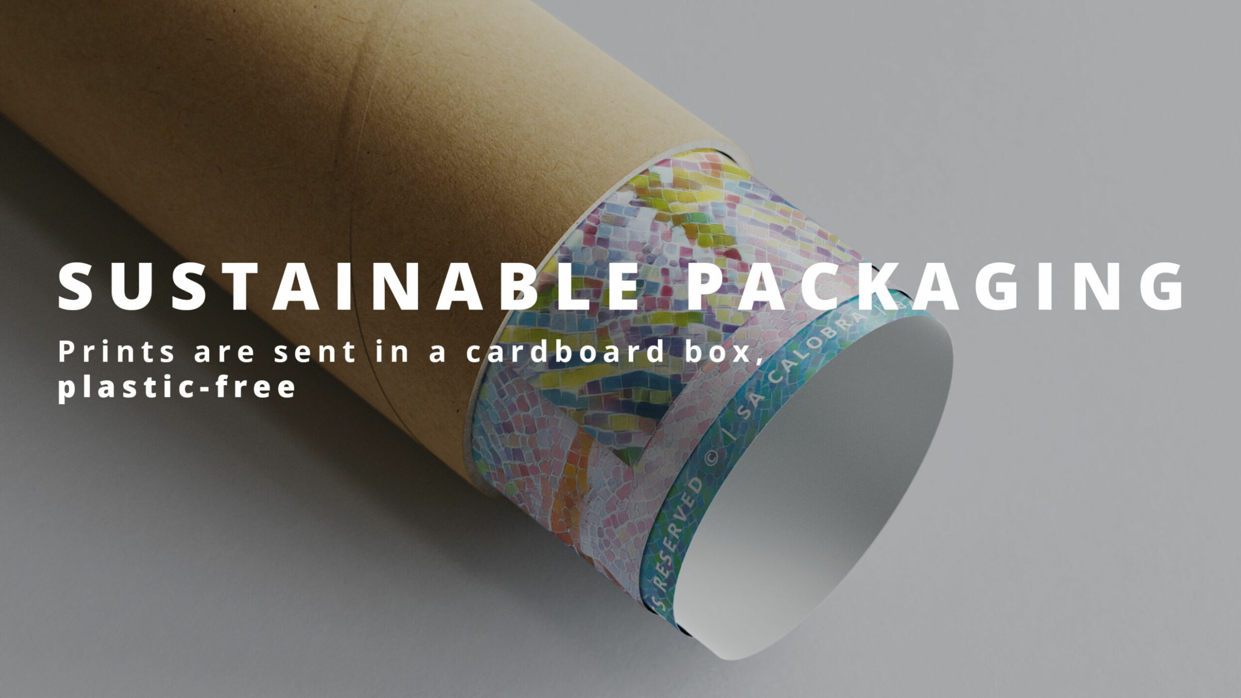 plastic free, eco-friendy packaging, print, poster